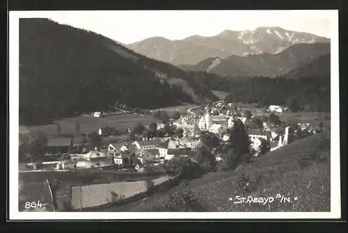 AK St. Aegyd a. N., Teilansicht mit Kirche