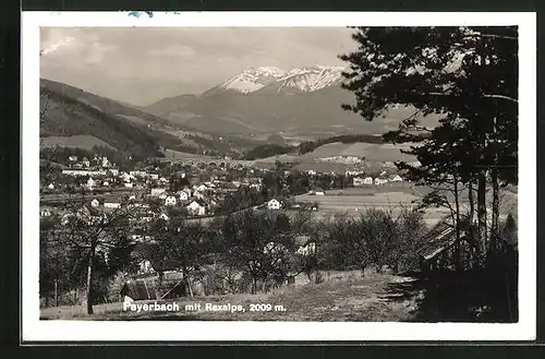 AK Payerbach, Ortsansicht mit Raxalpe