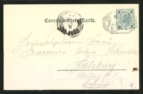 AK Ebensee, Dampfer mit Blick auf die Ortschaft vom Calvarienberg