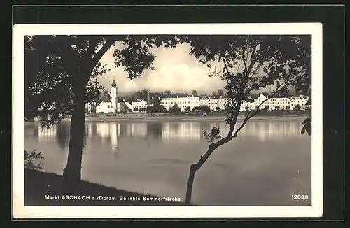 AK Aschach a. Donau, Uferpartie mit Kirche und Bäumen