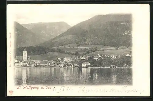 AK St. Wolfgang a. See, Uferpartie mit Kirche