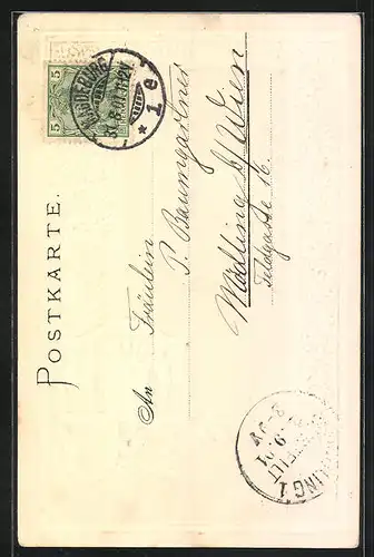 Passepartout-Lithographie Magdeburg, Strassenpartie am Hasselbachbrunnen, Wappen