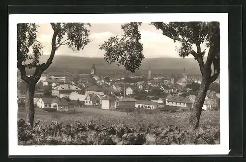 AK Uherske Hradiste, Panorama