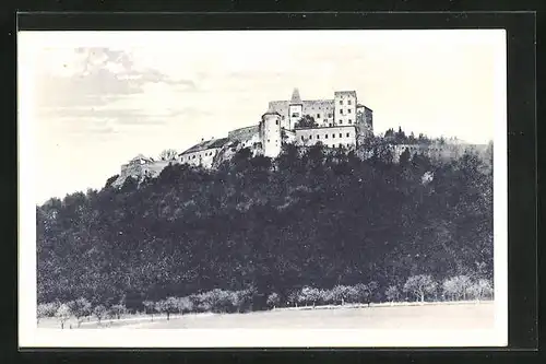 AK Buchlovice, Burg Buchlau