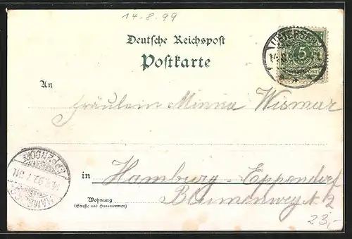Lithographie Haseldorf /Holst., H. Glismann`s Warenhaus, Gasthaus C. Dechow, Schloss mit Park