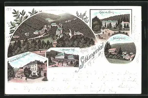 Lithographie Schlangenbad, Victoria Hotel und Eltvillerstrasse, Hotel de Paris, Nassauer Hof