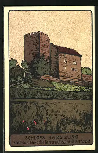 Steindruck-AK Habsburg, Stammschloss des österreichischen Kaiserhauses
