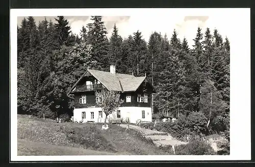 AK Pinggau, Waldhaus Trenk-Törl