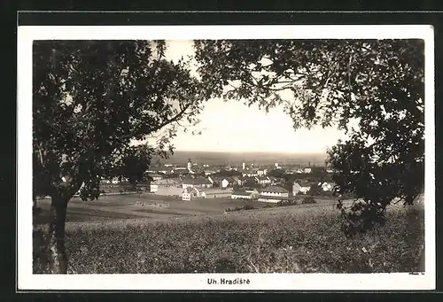 AK Uherské Hradiste, Panorama durch Baumkronen