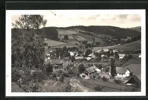 AK Velke Karlovice, Panorama