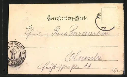 AK Troppau, Panorama mit Schmetterhaus