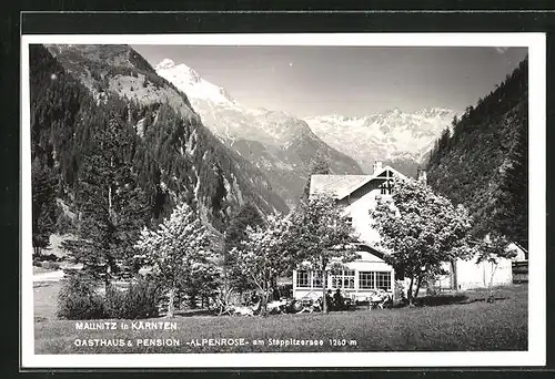 AK Mallnitz in Kärnten, Gasthof und Pension Alpenrose am Stappitzersee