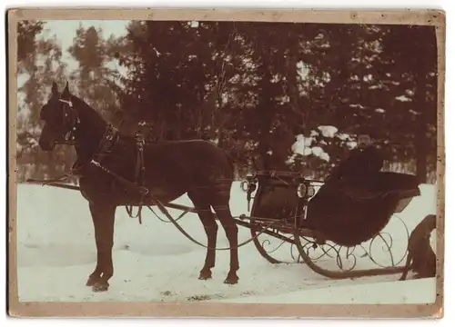 Fotografie unbekannter Fotograf und Ort, Portrait Mann im Pferdeschlitten mit seinem Hund in einer Winterlandschaft
