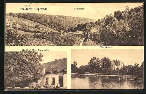 AK Ziegelroda, Gasthof von Albert Dammköhler, Oberförsterei, Mühlthal