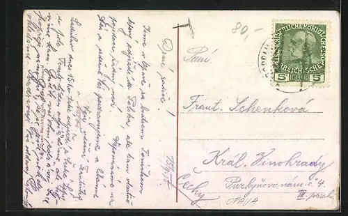 AK Opava, Teilansicht und Städtisches Museum