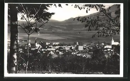 AK Frankstadt u. R., Panorama