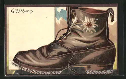 Präge-AK Brauner Schuh mit Alpenblume