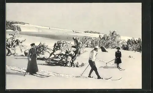 Foto-AK Herr und zwei Damen auf Skiern