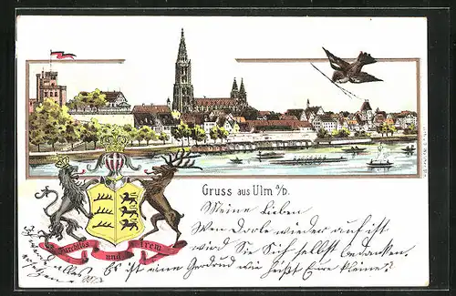 Passepartout-Lithographie Ulm, Blick von der Donau auf die Stadt, Wappen