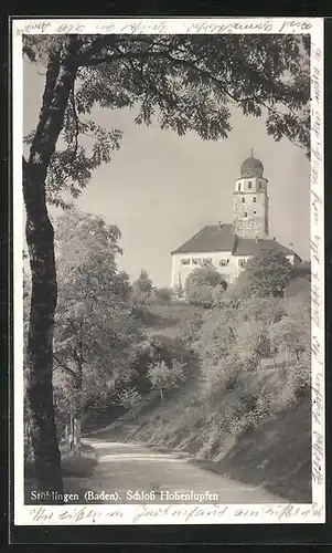 AK Stühlingen /Baden, Schloss Hohenlupfen auf dem Hang