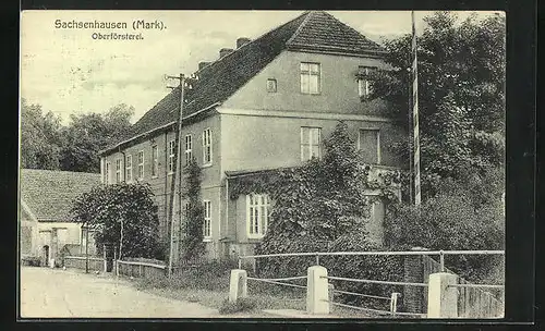 AK Sachsenhausen /Mark, Strasse an der Oberförsterei