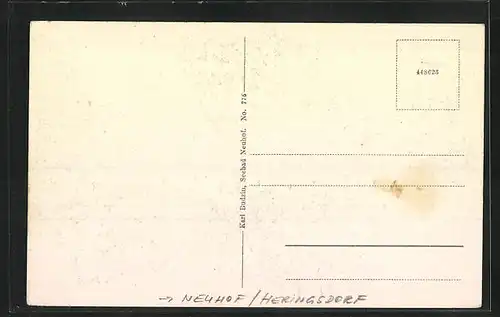 AK Neuhof /Heringsdorf, Lindenstrasse mit Wohnhäusern