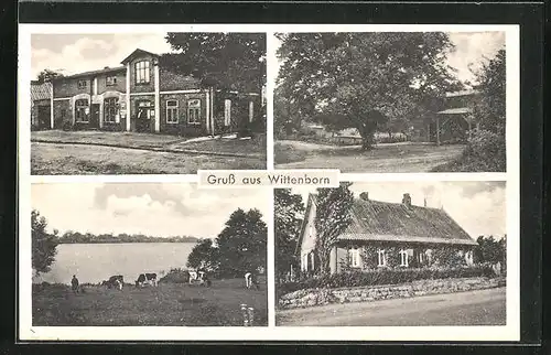 AK Wittenborn, Geschäft, Gebäudeansicht, Uferpartie