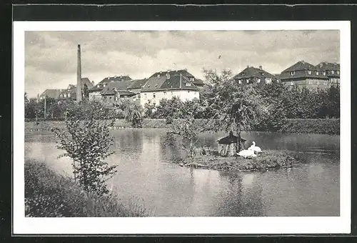 AK Euskirchen, Teilansicht am Schwanenteich