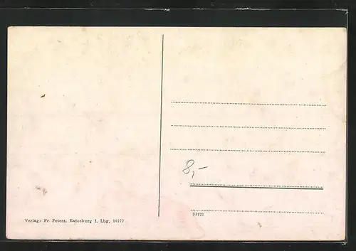 AK Ratzeburg i.L., Totalansicht aus der Vogelschau