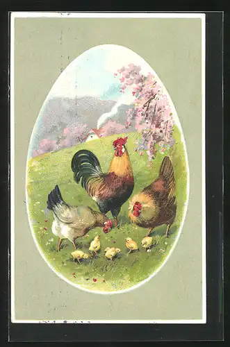 Präge-AK Hühner mit Küken auf der Wiese