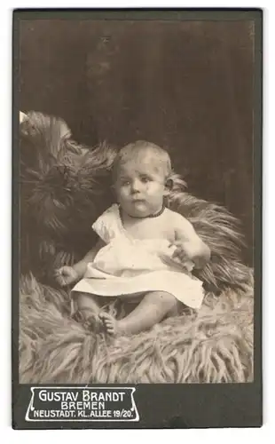 Fotografie Gustav Brandt, Bremen, Neustadt, Kl. Allee 19 /20, Portrait niedliches Baby im Hemdchen auf einem Fell