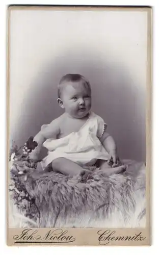 Fotografie Joh. Niclou, Chemnitz, König-Strasse 5, Portrait entzückendes pausbäckiges Baby auf einem Fell