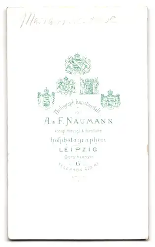 Fotografie A. & F. Naumann, Leipzig, Dorotheenstr. 6, Portrait junge Dame mit Flechtfrisur im Profil