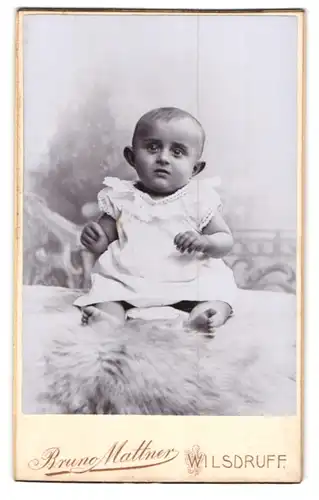 Fotografie Bruno Mattner, Wilsdruff, Meissnerstr. 43, Portrait niedliches Baby mit Segelohren