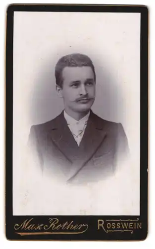 Fotografie Max Rother, Rosswein, Portrait eleganter junger Herr mit Zwirbelbart und Anzug