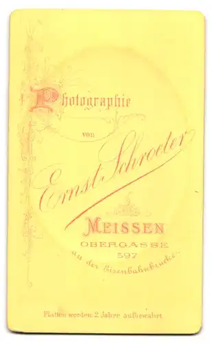 Fotografie E. Schroeter, Meissen, Obergasse 597, Portrait junger blonder Herr mit Fliege