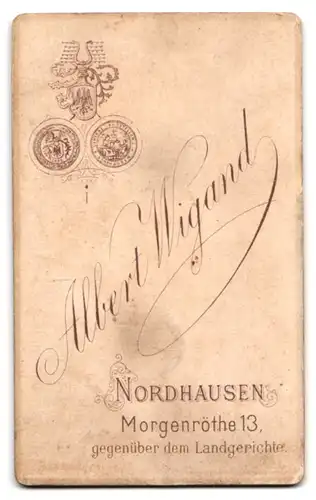 Fotografie Albert Wigand, Nordhausen, Morgenröthe 13, Portrait blonder junger Mann im Anzug mit Krawatte