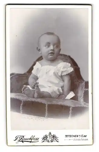 Fotografie F. Rauchfuss, Tetschen a. Elbe, Bahnhofstrasse, Portrait entzückendes Baby mit Kulleraugen
