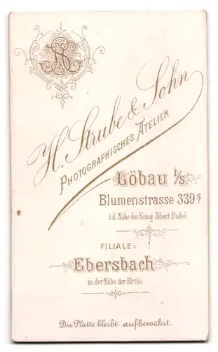 Fotografie H. Strube & Sohn, Löbau, Blumenstrasse 339, Portrait Dame im zeitgenössischen kleid in einer Studiokulisse