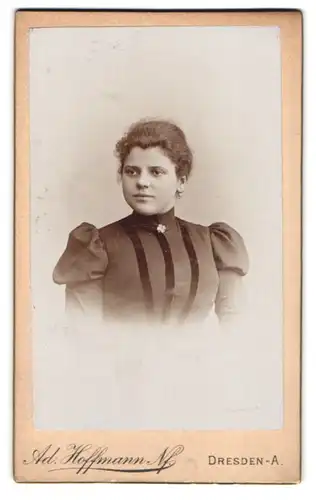 Fotografie Ad. Hoffmann Nf., Dresden, Waisenhaustr. 38, Portrait hübsche junge Dame in edler Bluse mit Brosche