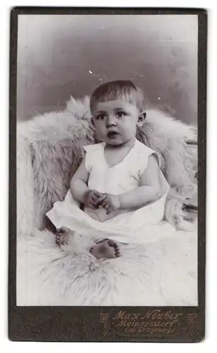 Fotografie Max Neuber, Meinersdorf i. Erzgeb., Portrait niedliches Kleinkind mit Kulleraugen auf einem Fell