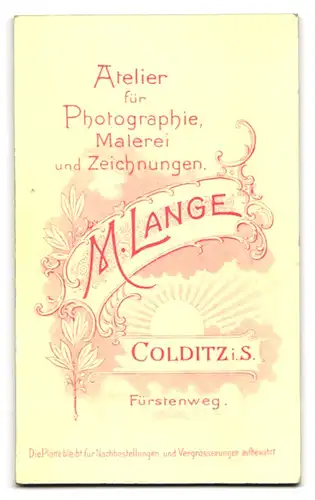 Fotografie M. Lange, Colditz i. S., Fürstenweg, Portrait elganter Herr mit Schnurrbart und edlem Anzug