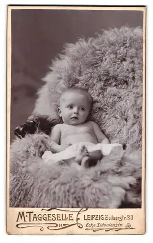 Fotografie M. Taggeselle, Leipzig, Zeitzerstr. 23, Portrait niedliches Baby auf einem Fell