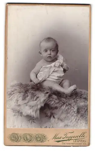 Fotografie Max Taggesell, Leipzig, Zeitzerstrasse 23, Portrait niedliches Baby im Hemdchen auf einem Fell