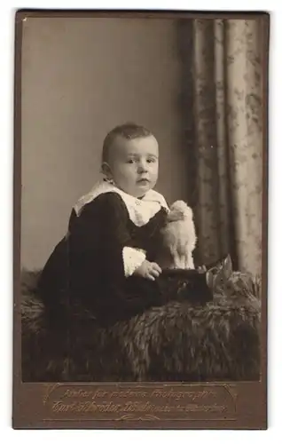 Fotografie Curt Schröder, Döbeln, Portrait entzückendes Kleinkind mit Spielzeughase