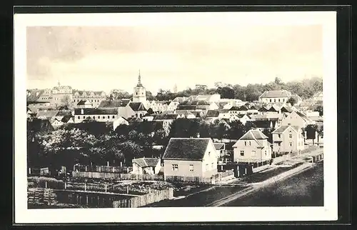 AK Horsovský Týn, Celkový pohled