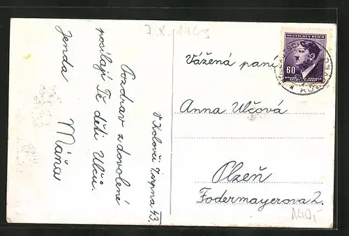 AK Kolovec, Celkový pohled