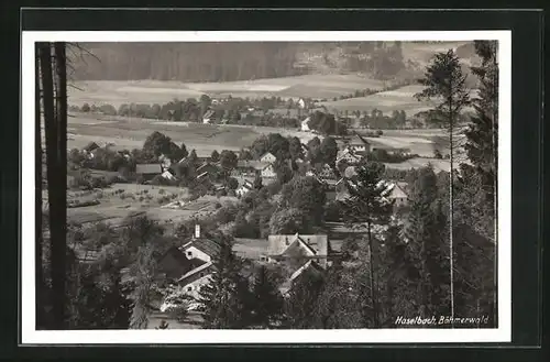 AK Haselbach / Böhmerwald, Gesamtansicht
