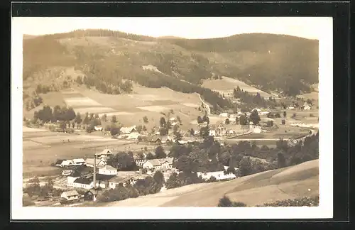 AK Velké Karlovice, Celkový pohled