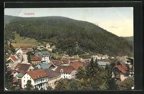 AK Triberg, Ortsansicht aus der Vogelschau